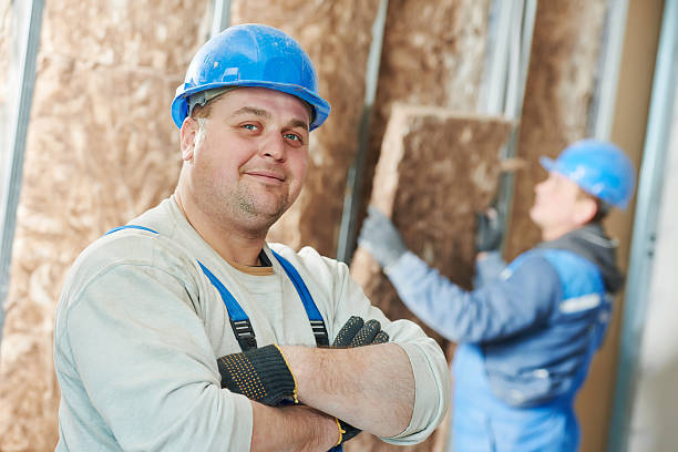 Best Eco-Friendly Insulation in North New Hyde Park, NY